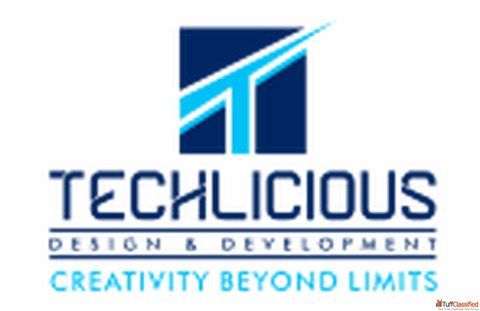 Techlicious Design and Development Software Innovation Partner
