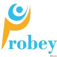 Probey Services - Trusted Social Media Marketing Company in ...