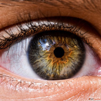 Enhance Your Vision with Opticals Contact Lenses Low Vision ...