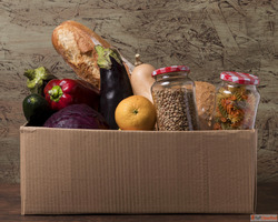 Buy Certified Compostable Bags in Chennai - Eco-Conscious Ch...