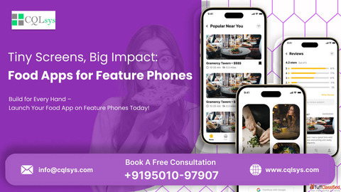 Tiny Screens Big Impact Food Apps for Feature Phones