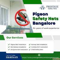 Professional Pigeon Safety Nets Installation in Bangalore - ...