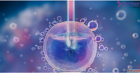 Embryo Freezing in India New Hope IVF Clinic