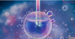 Embryo Freezing in India New Hope IVF Clinic