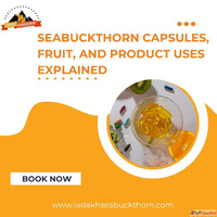 Seabuckthorn Capsules Fruit and Product Uses Explained