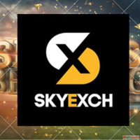 Sky Exchange Unveils Virtual Cricket Leagues for 247 Sports ...
