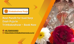 Best Pandit for Kaal Sarp Dosh Puja In Trimbakeshwar - Book ...
