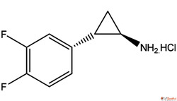 Ticagrelor Manufacturer