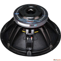 Ferrite DJ Speaker 19 Inch 1999 Plus 200 Watt Model YX19X451...