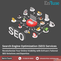 Revolutionize Your Online Visibility with Tailored SEO Solut...