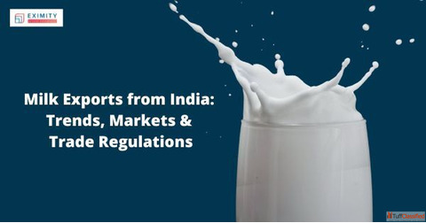 Start Your Dairy Export Journey with India's Growing Milk Market