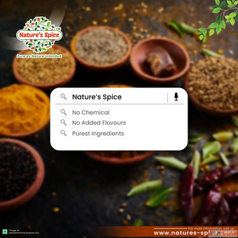 Authentic Indian Gourmet Foods - Nature's Spice