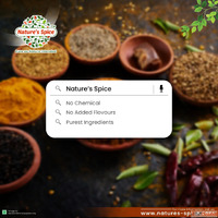 Authentic Indian Gourmet Foods - Nature's Spice