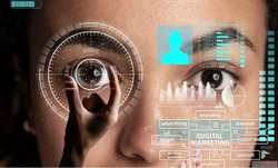 Hire Professional SEO Experts in India