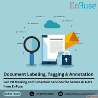 Get PII Masking Redaction Services for Secure AI Data from E...