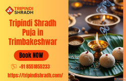 Navchandi Yagna And Tripindi Shradh Puja - Booking Now