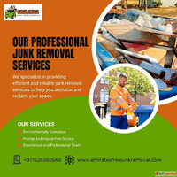 Our Professional Junk Removal Services