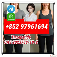 tirzepatide2023788-19-2 retatruide2381089-83-2 99purity