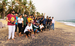 Best Team Building Activities at the Beach