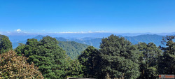 Tour Travel Agency Near Me Kolkata