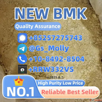 B M K Glycidate Powder 5413-05-8 Stable Supply Solvent-Free ...
