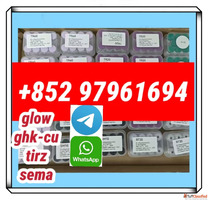 semaglutide910463-68-2 tirzepatide2023788-19-2 retatruide238...