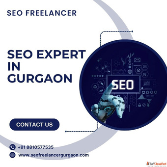 Grow Your Business Organically with an SEO Expert in Gurgaon