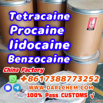 Lidocaine Benzocaine Procaine raw Powder 137-58-6 Manufactory Supply