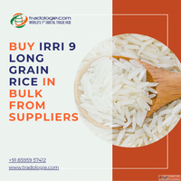 Buy IRRI 9 Long Grain Rice in Bulk from Suppliers