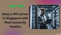 Shop a VPS server in Singapore with Root access by Hostinc