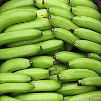 Fresh Green Banana Suppliers in Madhya Pradesh