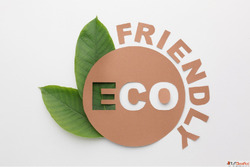 Your GoTo Guide for Compostable Bags in Chennai