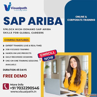 SAP Ariba Online Course - Top SAP Ariba Training Institutes