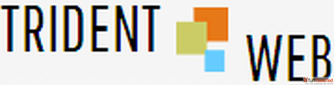 SEO Services Company in Pune India Trident Web Infoservices