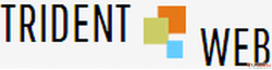 SEO Services Company in Pune India Trident Web Infoservices
