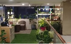 Smart Hassle-Free Office Plant Rental in Mumbai - Greenlands