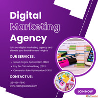 Digital Marketing SEO SMO