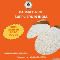 Basmati Rice Suppliers in India