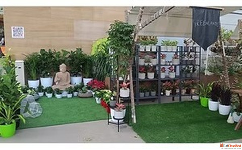 Practical Aesthetic Garden Consultancy Tailored for You - Greenlands