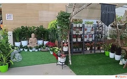 Practical Aesthetic Garden Consultancy Tailored for You - Gr...