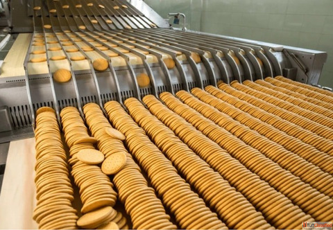 Buy High-Quality Biscuit Making Machine - Automatic Efficient