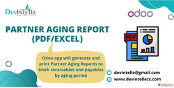 Partner Aging Report PDFEXCEl