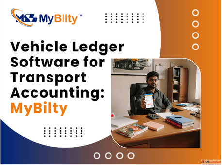 The Vehicle Ledger Problem in Transport Companies