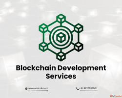Exploring Blockchain Development Solutions