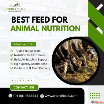 Animal feed provider in India