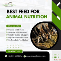 Animal feed provider in India