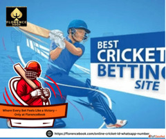 Verified Whatsapp Number for Cricket ID in 2025