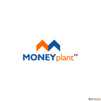 MoneyPlantFX Guide to Trading for Beginners