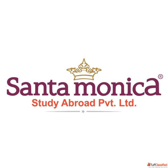 Your Path to Medical Success Top-Rated Consultancy for Pursuing MBBS Abroad