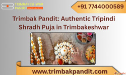 Trimbak Pandit Authentic Tripindi Shradh Puja in Trimbakeshw...